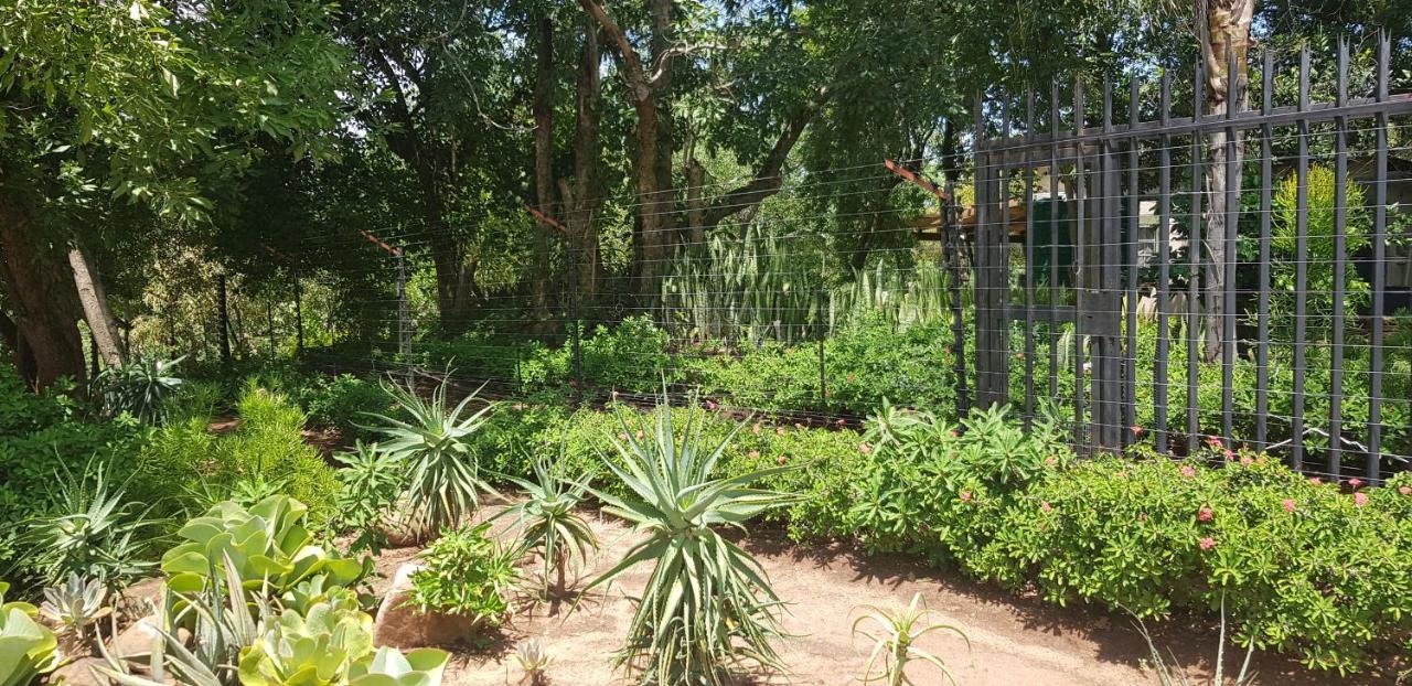 A Farm Stay - Casablanca'S Private Cottage,No Loadshedding! Hazyview Esterno foto